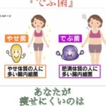 あなたが痩せないのはデブ菌のせい??