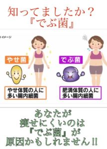 あなたが痩せないのはデブ菌のせい？？