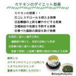 ◆カテキンのダイエット効果  ~冬でも水分補給は大切!~