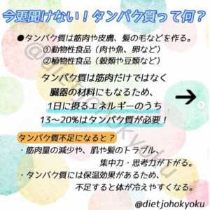 【今更聞けないタンパク質って何?】