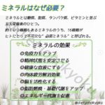 【大切って聞くけどミネラルはなぜ必要?】