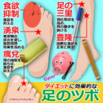 ツボ押しdeダイエット♪ 大好評☆ツボ押しシリーズ・その3!!